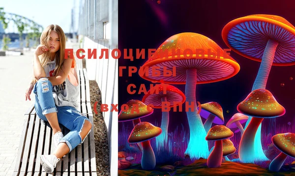 крисы Белоозёрский