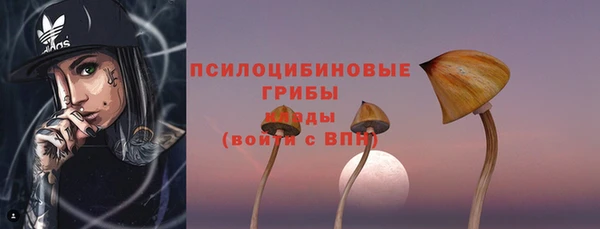 крисы Белоозёрский