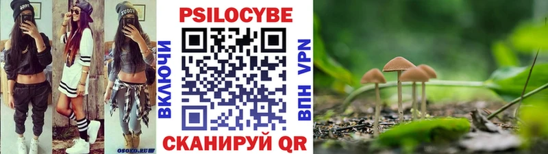 Галлюциногенные грибы GOLDEN TEACHER Моршанск